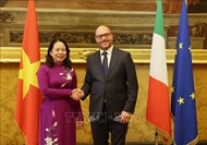 越南国家副主席武氏映春对意大利进行工作访问